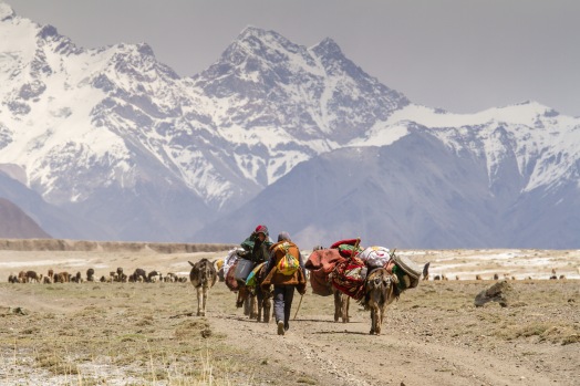 A group of semi-nomadic Pamiri Herders head into their summer pastures on their bi-annual migration.
